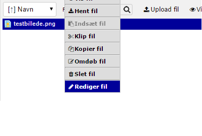 Filemanager: NEWWWEB File Editor - Klik "rediger fil"