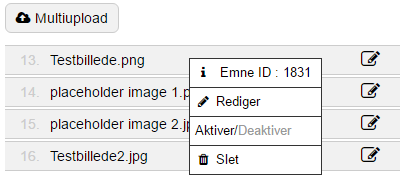 Sidetyper: Galleriemner - Redigering af galleriemner - Højreklik og tryk "Rediger".